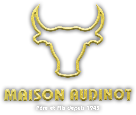 Logo Maison Audinot